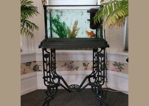 Victorian fish tank